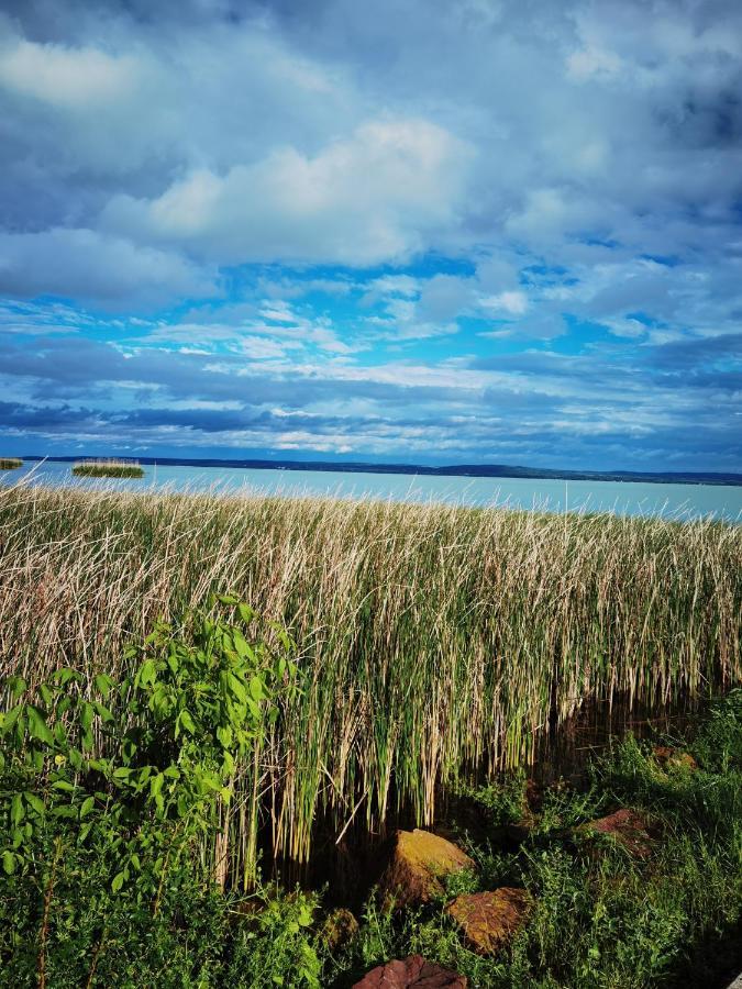 Willa Panorama, Balaton Dörgicse Zewnętrze zdjęcie