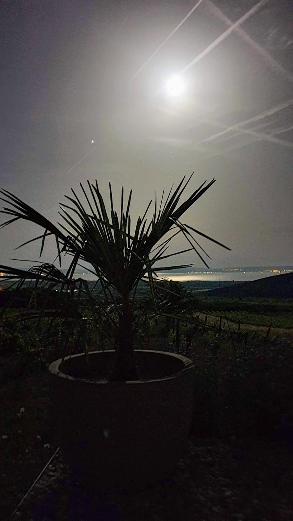 Willa Panorama, Balaton Dörgicse Zewnętrze zdjęcie